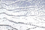 Spectrum Ornamentglas, corteza