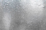 Spectrum Satin seedy