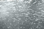 Spectrum Veccio 180.8