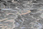 spectrumglas 389-1s grau, recht transparent
