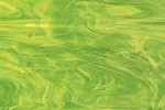 Opalescentglas gelbgrün, 826-71s-f,
