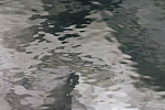 Waterglass,hellgrau,