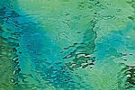 spectrum 423-1w-f, WATERGLASS
