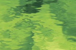526-2W-F Waterglass  moos-grün