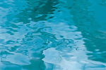 spectrum,glas,533-1W, WATERGLASS,