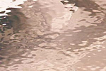 spectrum,glas 591-1W Waterglass champagner rosé,