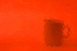 18-ll corella orange