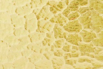 Ornamentglas ATLANTIC bernstein