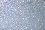 Ornamentglas Moss blau