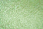 Ornamentglas Moss grün