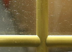 Alugold Kopfprofil