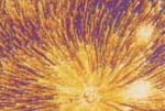 Antikspiegel Galassia,