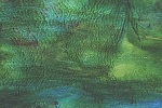 Youghiogheny Y-Water-light SP