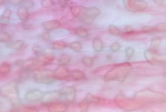 goldrosa soft mottled