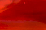 29wo Wissmach glas rot
