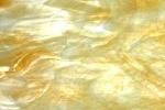 58wo
