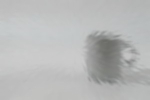 555-Mystic grau