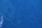 Tischkathedralglas, mittelblau,,